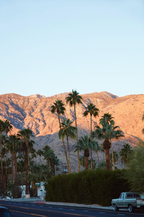 Los Angeles, Nature, Las Vegas, Palm Springs California Aesthetic, Desert California Aesthetic, Palm Springs Pictures, Los Angeles Mountains, Southern California Mountains, Palm Desert Aesthetic