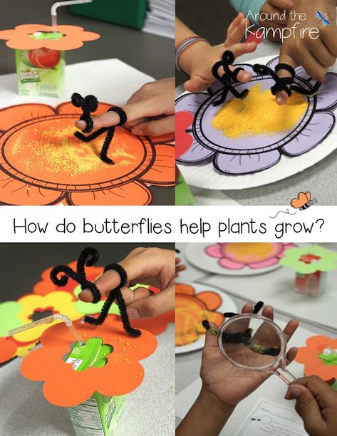 Butterfly Pollination Activity, Pollinators For Kids, Butterfly Unit Preschool, Mac And Cheese Powder, Butterfly Science Activities, Butterfly Math Activities, Pollination Activity, Help Plants Grow, Butterfly Lessons