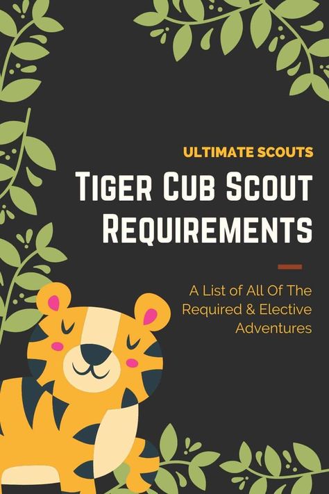 What Are The Cub Scouts Tiger Requirements? – Ultimate Scouts Tiger Cub Scouts Activities, Boy Scout Activities, Beaver Scouts, Tiger Scouts, Cub Scouts Tiger, Cub Scout Crafts, Scout Games, Science Demonstrations, Cub Scout Activities