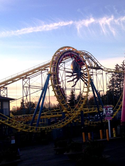 A great shot of "The Wild Thing" at Wild Waves Theme Park during Fright Fest 2013! #FrightFest #WildThing #rollercoaster #thrillride Summer Bucket Lists, Wild Waves Theme Park, Wild Adventures Theme Park, Fright Fest, Adventure Theme, Wild Adventures, Thrill Ride, Halloween Event, Summer 24
