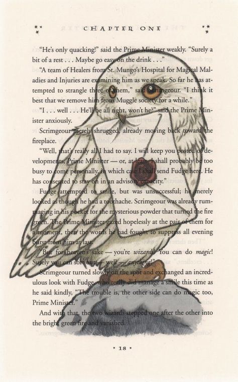 Hedwig Art, Imprimibles Harry Potter, Wallpaper Harry Potter, Art Harry Potter, Harry Potter Nursery, Tapeta Harry Potter, Harry Potter Book, Buku Harry Potter, Desenhos Harry Potter