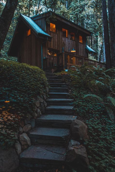 This cute little cabin in the Santa Cruz mountains - 9GAG Cabin On Mountainside, Lodge In The Woods, Dark Cottage In The Woods, California Cabin Aesthetic, House Near Woods, Dark Cabin In The Woods, Mountain Forest House, Black Cabin House, Large Cabin In The Woods