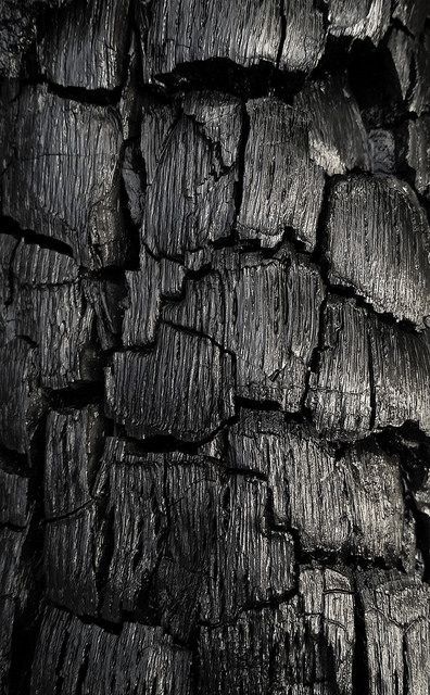 . Raven Color, Leaf Vector, Charred Wood, Texture Inspiration, Black Gold Jewelry, Black Textures, Surface Textures, Wood Texture, Patterns In Nature