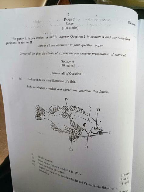 B.E.C.E. 2018/19 INTEGRATED SCIENCE QUESTIONS AND ANSWERS FULL KUNKS – Hitzcoolmusic Science Questions And Answers, Magnetic Objects, Past Questions, Maths Paper, Chemistry Education, Science Questions, Effective Study Tips, Magnetic Resonance, Push Away