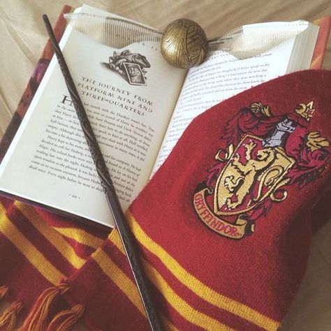 Gryffindor Playlist, Book Harry Potter, Gryffindor Aesthetic, Harry Potter Icons, Yer A Wizard Harry, Harry Potter Images, Harry Potter Houses, Hogwarts Aesthetic, Harry Potter Tumblr