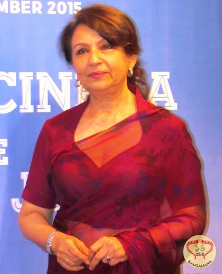 Sharmila Tagore addresses press at 21st Kolkata International Film Festival  Read more: http://sholoanabangaliana.in/blog/2015/11/23/sharmila-tagore-addresses-press-at-21st-kolkata-international-film-festival/#ixzz3sK3XoWBB High Collar Saree Blouse, Sharmila Tagore Blouse Design, Stand Collar Blouse Designs For Saree, Blouse Designs For Fat Ladies, Sharmila Tagore Saree, Colar Neck Blouse Pattern, Decent Blouse Designs, Collar Blouse Designs, Collar Neck Blouse Designs