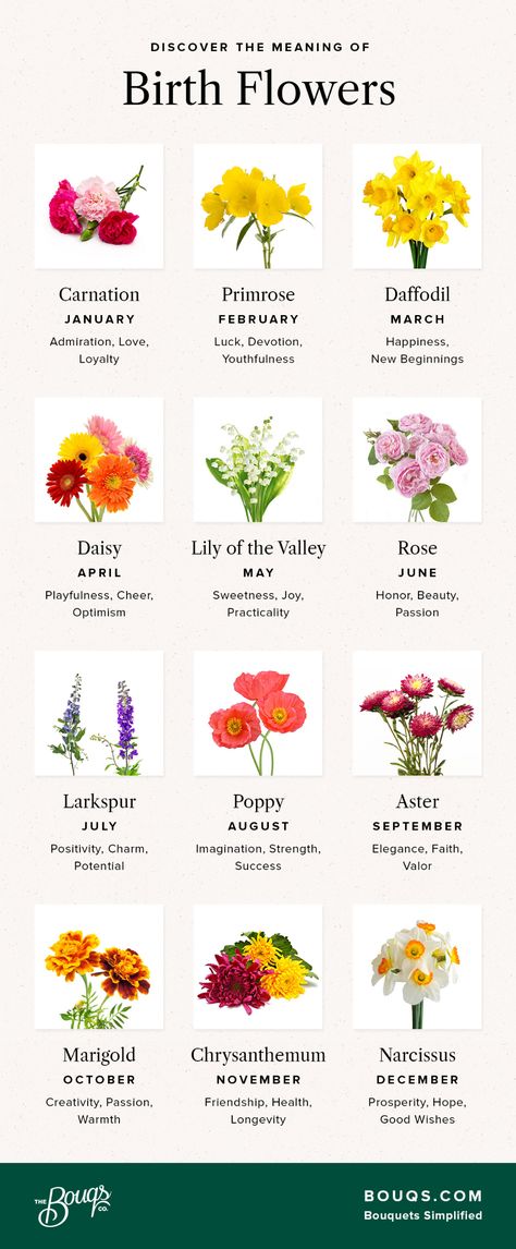 Flowers Chart, حفل توديع العزوبية, September Birth Flower, July Birth Flower, November Birth Flower, March Birth Flowers, January Birth Flowers, September Flowers, April Birth Flower