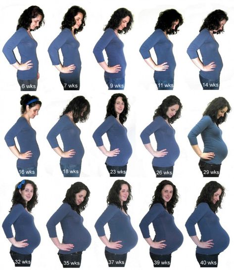 Weekly baby bump pictures: 20 ideas to inspire — The Organized Mom Life Weekly Baby Bump Pictures, Bump Progression, Small Baby Bump, Twin Pregnancy Belly, Motherhood Pictures, Baby Bump Progression, Baby Bump Pictures, Baby Name Generator, Bump Pictures