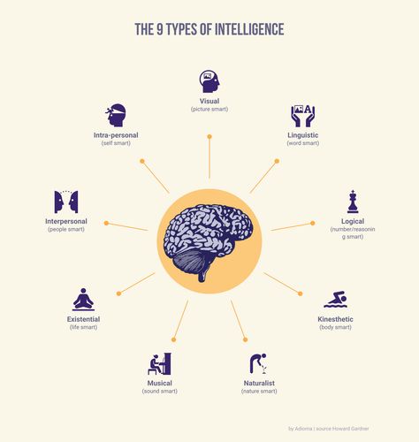 The 9 Types of Intelligence. Visualized by admin, made on Adioma Find Your Personality, What Is Intelligence, Intuitive Life Coach, Types Of Intelligence, Multiple Intelligence, Multiple Intelligences, Social Intelligence, Improve Communication Skills, Information Graphics