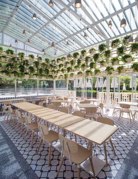 Four O Nine transforms greenhouse into plant-lined cafe Plants Restaurant, Greenhouse Restaurant, Greenhouse Cafe, Greens Restaurant, Glass Building, Plafond Design, Cafe House, 카페 인테리어 디자인, Greenhouse Plans