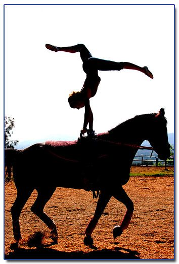 Equestrian, Vaulting, Equestrian Vaulting, Ny Times