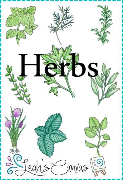 Herbs Embroidery Patterns (LC106) Embroidery Patterns by Leah's Canvas Herb Embroidery Patterns, Embroidery Herbs, Herbs Embroidery, Herb Embroidery, Embroidery Kitchen, Stitch Work, Patterns Embroidery, Recipe Books, Quilt Projects