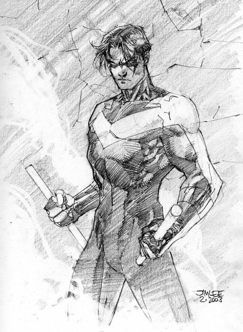 Character Sketches, Croquis, Jim Lee, Jim Lee Batman, Jim Lee Art, Drawings And Sketches, Nightwing And Starfire, Univers Dc, Dc Characters