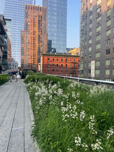 Summer Aesthetic New York, New York City Flowers, New York City Spring Aesthetic, Nyc In Summer Aesthetic, Nyc Aesthetic Spring, The Highline Nyc, New York Spring Aesthetic, New York Aesthetic Spring, New York City Summer Aesthetic