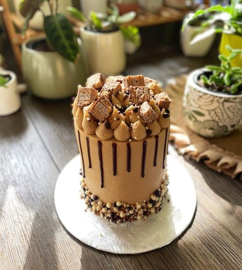 Dani Jacobs on Instagram: “☕️ C O F F E E C R I S P 🍫 How yummy does this coffee crisp cake look?! This is a chocolate cake layered with espresso buttercream and…” Cake Recipes, Coffee Crisp Cake, Espresso Buttercream, Coffee Crisp, Instagram C, Layer Cake, S P, Chocolate Cake, Butter Cream