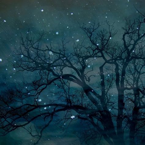 starry tree8x8 original fine art photograph by allieart4children Night Skies, The Night Sky, Original Fine Art, Stars And Moon, Night Sky, Starry Night, Beautiful Art, Illustration Art, Art Inspiration