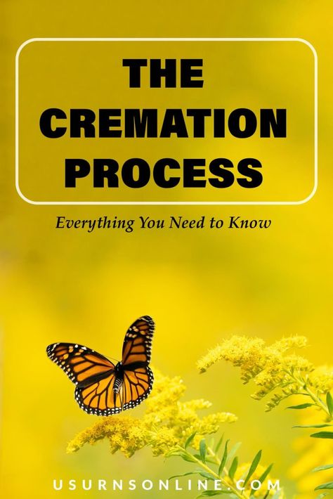 Letters To Loved Ones, Weird Questions, Funeral Planning Checklist, Emergency Binder, Cremation Services, Life Binder, Funeral Planning, Funeral Urns, You Make Me Laugh