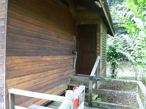 Borneo Rainforest Lodge Danum Valley Conservation Area, Travel, Borneo Rainforest, 1 Of 1, Trip Advisor, Favorite Places, Great Deals, Hotel, Outdoor Decor