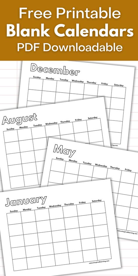 Blank monthly calendars to print off and decorate! Add your own dates to these monthly calendar pages. Great additions to a personal planner. Weekly Calendar Printable Free Planner Pages, Free Printable Blank Calendars, Printable Month Calendar, Cute Blank Calendar Printable, Free Printable Blank Monthly Calendars, Free Undated Monthly Calendar Printable, Teacher Calendar Printables Free, Blank Calander Templates, Business Calendar Design Ideas