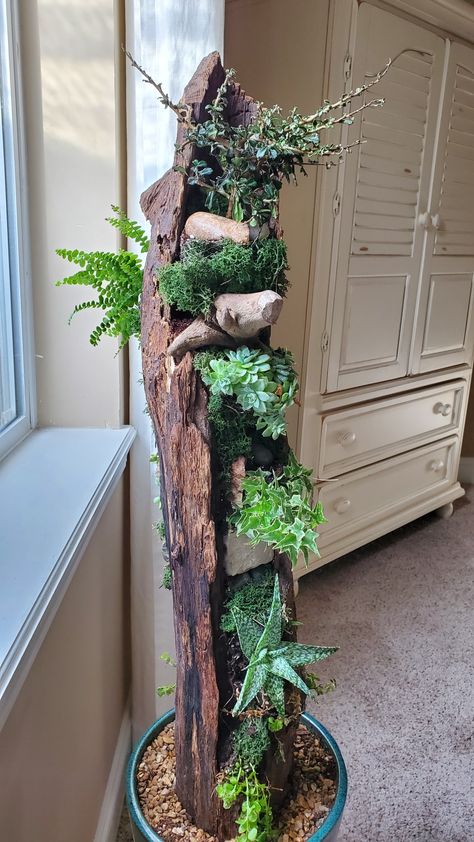 Driftwood With Succulents, Driftwood Sculpture Ideas, Orchid Centerpieces Wedding, Green Wall Garden, Large Fairy Garden, Indoor Plant Trellis, Driftwood Art Sculpture, Driftwood Planters, Planting Succulents Indoors