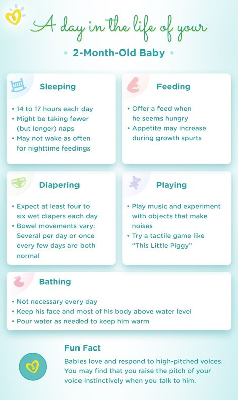 At 2 months old, your baby may be feeding six to eight times a day. Find out how your baby is developing, sleeping, and reaching exciting milestones this month. Baby Development Milestones, 2 Month Old Baby, 2 Month Old, 9 Month Old Baby, Development Milestones, 2 Months Old, Baby Life Hacks, 2 Month Olds, Baby Drinks