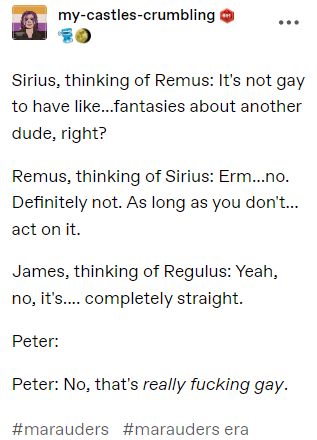 James X Remus, Sirius And Remus Raise Harry, Jegulus Fanart Spicy, Jegulus Fanfic, Book Hermione, Starchaser Fanart, Remus X Sirius, Wolfstar Memes, James And Sirius