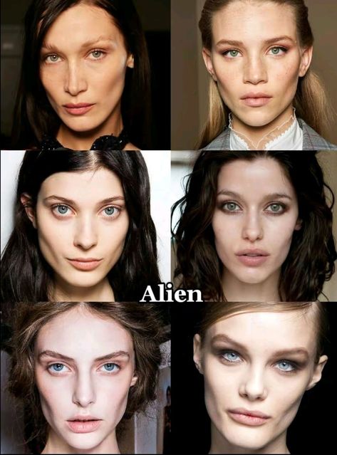 Cheekbones Aesthetic, Paradox Aesthetic, High Cheekbones Aesthetic, Different Types Of Pretty, Facial Types, Beauty Types, Fair Olive Skin, Alien Beauty, Types Of Faces Shapes