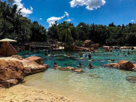 Discount Disney World Tickets, Discovery Cove Orlando, Discovery Cove, 2 Days Trip, Disney World Tickets, Florida Adventures, Disney World Vacation Planning, Orlando Travel, Fun Summer Activities