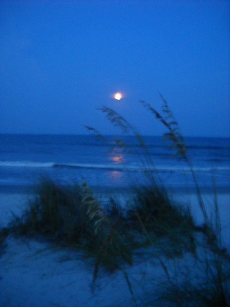 Full moon at Pawleys Island, SC.  Believe it or not, this picture is not "photoshoped."  Just another beautiful night at my favorite beach.    (Photo by Soozi Allder) Pawleys Island Sc, Pawleys Island, Beautiful Night, Blue Hour, Beach Photo, Foto Inspiration, Nature Aesthetic, Pretty Places, Blue Aesthetic
