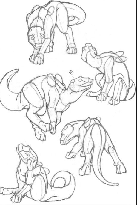 Animal Body Reference, Feral Poses Drawing Reference, Lizard Pose Reference, Dragon Body Reference Drawing, Dog Shark Drawing, Animal Pose Reference Drawing, Animal Body Sketch, How To Draw Dragon Bodies, Cat Sleeping Drawing Reference