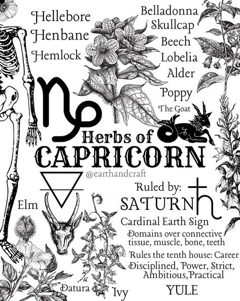 Zodiac Charts, Capricorn Energy, Earth Craft, Magickal Herbs, Green Witchcraft, Grimoire Book, Magic Herbs, Magical Herbs, Magic Garden