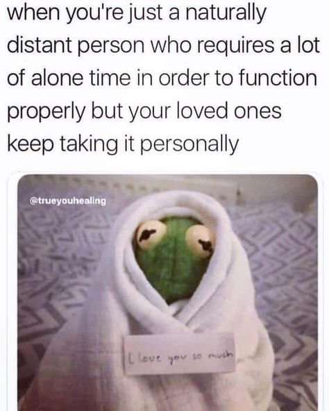 The Hilarious Meme You'll Relate to, Based On Your Myers-Briggs® Personality Type - Psychology Junkie Introvert Problems, John Maxwell, Introvert Meme, Introvert Jokes, Life Struggles, Introvert Quotes, Behind Blue Eyes, Introvert Humor, Family Problems