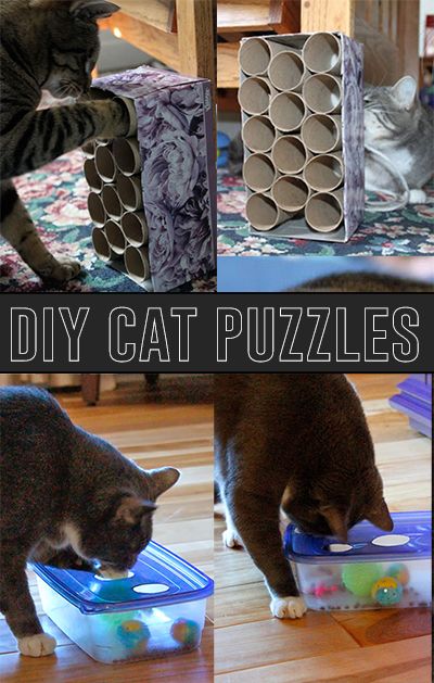 Diy Cat Treats, Diy Cat Tent, Katt Diy, Katt Grejer, Kat Diy, Chat Diy, Homemade Cat Toys, Trendy Toys, Cat House Diy