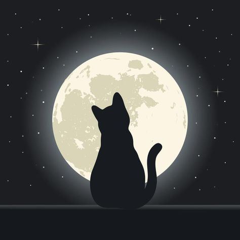 Cat on a background of the night sky with stars and the moon Cat Shadow Painting, Cat Shadow Drawing, Night Sky With Stars, Stars And The Moon, Black Cat Drawing, Good Night Cat, Sky With Stars, Full Moon Tattoo, Cat Shadow