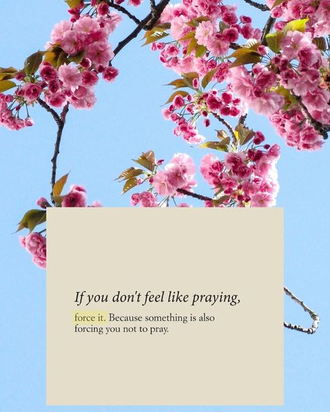 Don’t stop praying, even if you don’t feel like it. God is always there, always listening. God cares and hears you. Pray and continue to communicate with God. Peaceful images, quotes, art, christian, faith, God, scripture, Bible, white roses, flowers, aesthetic, book Pray About It As Much As You Think, Aesthetic Devotional, Peaceful Images, Faith Aesthetic, God Is Always There, Plan Quotes, Gods Plan Quotes, Sunday Sermons, Scripture Bible