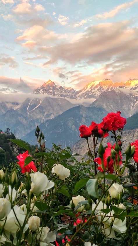 Bonito, Nature, Kinner Kailash, National Photography, Religious Images, Adventure Activities, Beautiful Places Nature, Oil Painting Landscape, Landscape Photographers