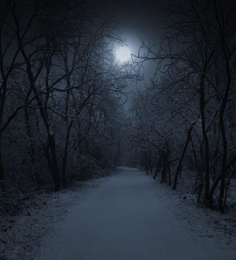 Nature, Arctic Aesthetic Dark, Photoshoot Dark Aesthetic, Royal Aesthetic Dark, Winter Night Aesthetic, Dark Winter Aesthetic, Dark Fairytale Aesthetic, Cold Aesthetic, Cold Forest