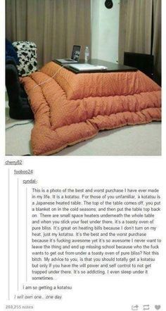 Useful Life Hacks, Tumblr Funny, Up House, Sleeping Bag, My New Room, Kotatsu, Tumblr Posts, In My Life, Future House