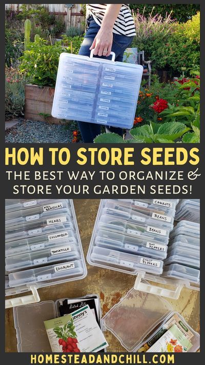 Permaculture, Organisation, How To Store Seeds, Organize Seeds, Tattoo Garden, Seed Storage, Homestead Gardens, Seed Saving, Veg Garden
