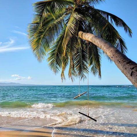 Franvalo Lopez on Instagram: “PUERTO VIEJO LIMON” Instagram, Paradise, Water, Jungle Paradise, Outdoor Furniture, Outdoor Decor, On Instagram