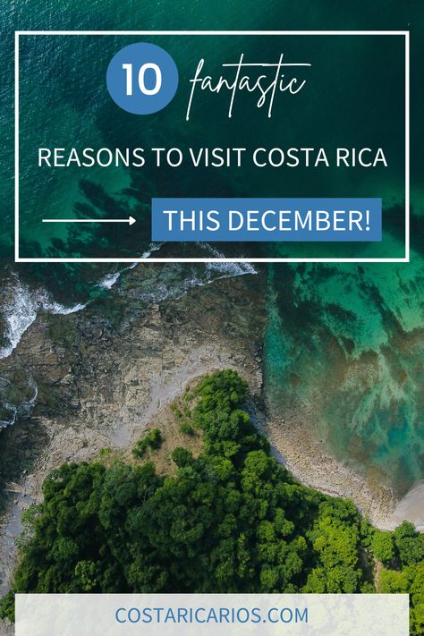 Why should you visit Costa Rica this December? With beyond-perfect weather, cheaper prices, and less tourists, December is the perfect time to visit Costa Rica! Check out the blog post to see 10 fantastic reasons you should visit Costa Rica this December! Costa Rica, Costa Rica In December, Coata Rica, Visiting Costa Rica, Costa Rico, Costa Ric, Vacation Money, Costa Rica Adventures, Visit Costa Rica