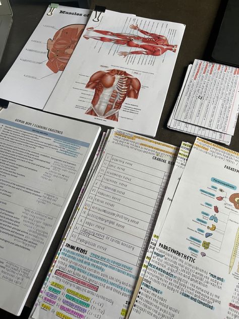 Studying Nursing Aesthetic, Nursing Books Aesthetic, Nurse Studying Aesthetic, Korean Medical Student Aesthetic, Sports Science Aesthetic, Med School Aesthetic Notes, Medical Study Aesthetic, Medicine Notes Study, Studying Med Aesthetic