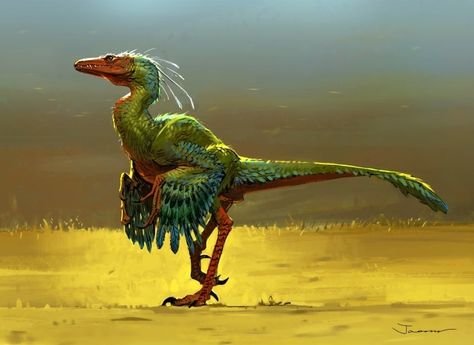 https://www.artstation.com/artwork/6zzPV Raptor Paleoart, Feathered Raptor, Feathered Dinosaurs, Prehistoric Animals Dinosaurs, Raptor Dinosaur, Prehistoric Wildlife, Dinosaur Illustration, Dinosaur Pictures, Prehistoric Art