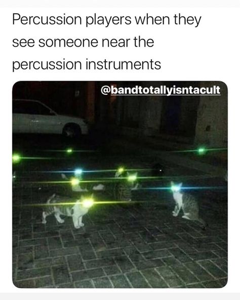 Funny Band Jokes, Band Puns, Choir Memes, Funny Band Memes, Musician Jokes, Marching Band Jokes, Percussion Music, Marching Band Memes, Musician Humor