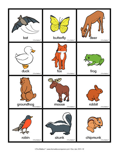 can use to sort nocturnal/diurnal animals Diurnal Animals Preschool, Diurnal And Nocturnal Animals, Nocturnal Animals Kindergarten, Animals Kindergarten, Cub Scout Games, Diurnal Animals, Night Creatures, 1 Decembrie, Animal Lessons