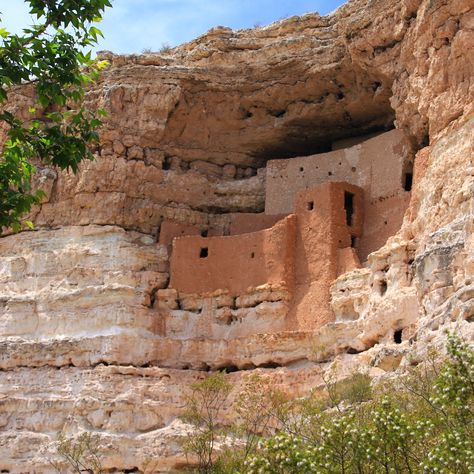 Montezuma Castle has an intriguing past any history buff will appreciate. Before you visit, take note of these fun facts about the area. Montezuma Castle National Monument, Montezuma Castle Arizona, Arizona Trip, Desert Environment, Desert Life, Montezuma, Northern Arizona, Arizona Travel, Take Note