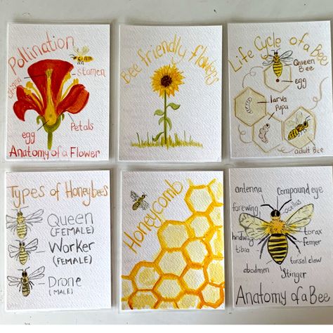 Garden Unit Study, Pollination Activity, Science Unit Studies, Bee Life Cycle, Honeybee Art, Insect Unit, Garden Unit, Unit Studies Homeschool, Bee Activities