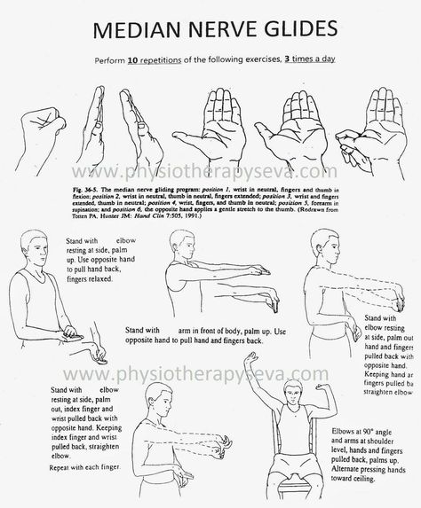 Nerve Glides, Hand Therapy Exercises, Ulnar Nerve, Physical Therapist Assistant, Median Nerve, Occupational Therapy Activities, Home Exercise Program, Physical Therapy Exercises, Hand Therapy