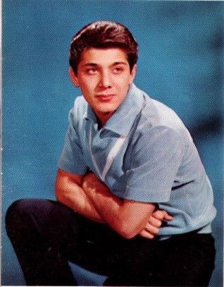 Paul Anka Paul Anka Wallpaper, Young Paul Anka, Paul Anka Aesthetic, 1950s Teenagers, Logan And Jake, Latinas Quotes, Paul Anka, Hoola Hoop, Ricky Nelson