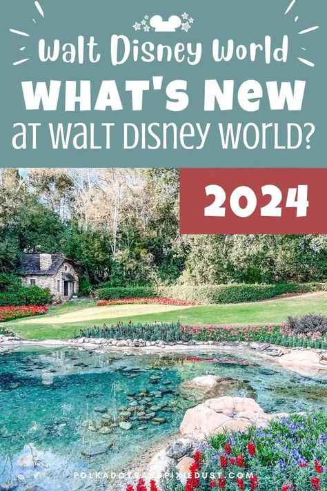 Adults At Disney World, Walt Disney World Restaurants, Disney World 2024 Tips, Disney World In January 2024, Walt Disney World Tips And Tricks, Free Things To Do At Disney World, Disney 2024 Tips, Planning A Trip To Disney World, Disney World Itinerary 2024